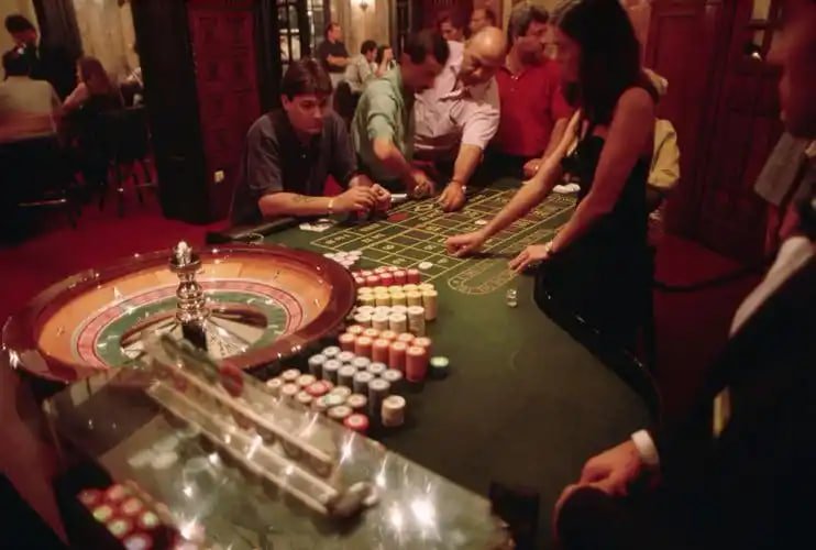 8666bet sports and casino content overview for adult users