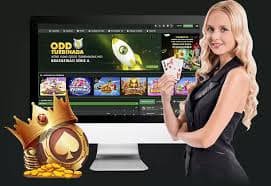 Live Andar Bahar view on 8666bet for Bangladesh adult players